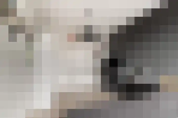 Het Gein 3 Beverwijk thumbnail 26