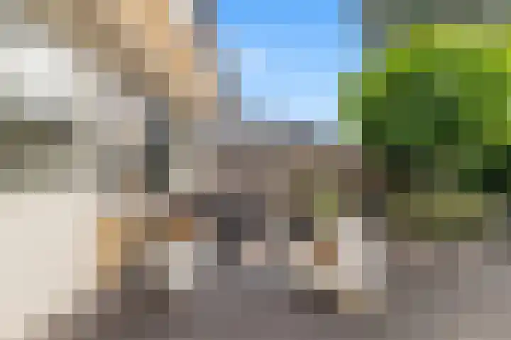 Het Gein 3 Beverwijk thumbnail 30