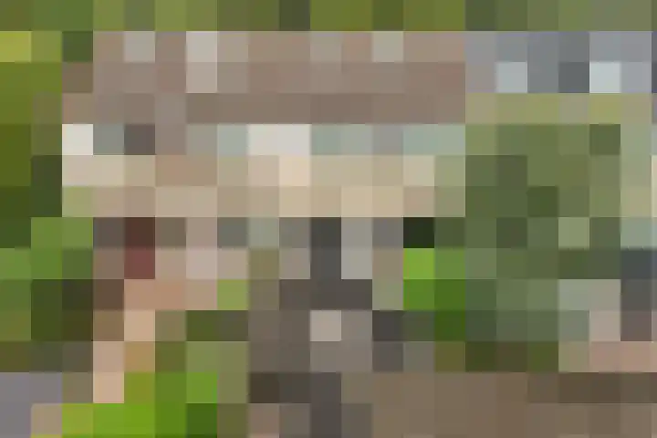 Het Gein 3 Beverwijk thumbnail 37