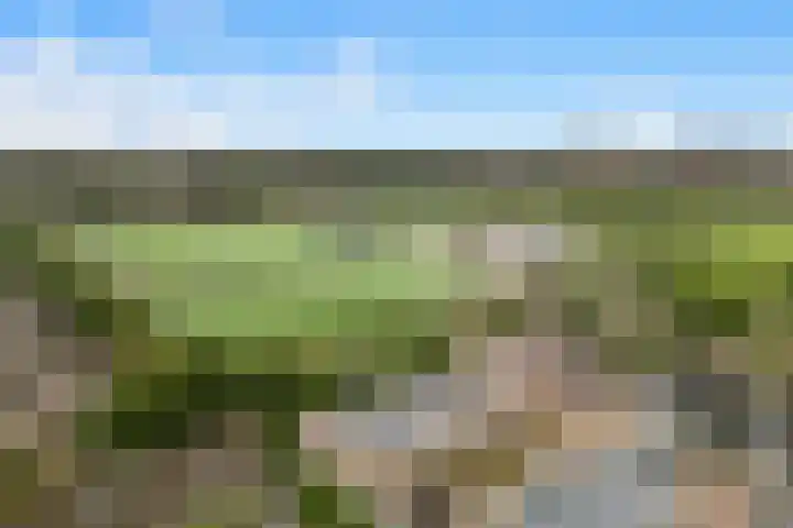 Het Gein 3 Beverwijk thumbnail 39