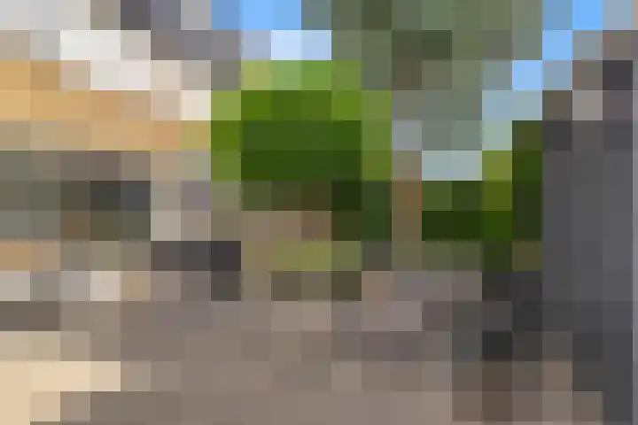 Het Gein 3 Beverwijk thumbnail 5