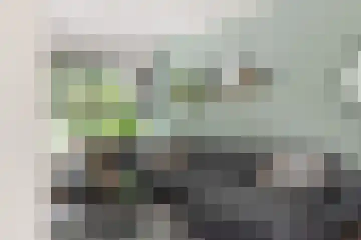 Het Gein 3 Beverwijk thumbnail 8