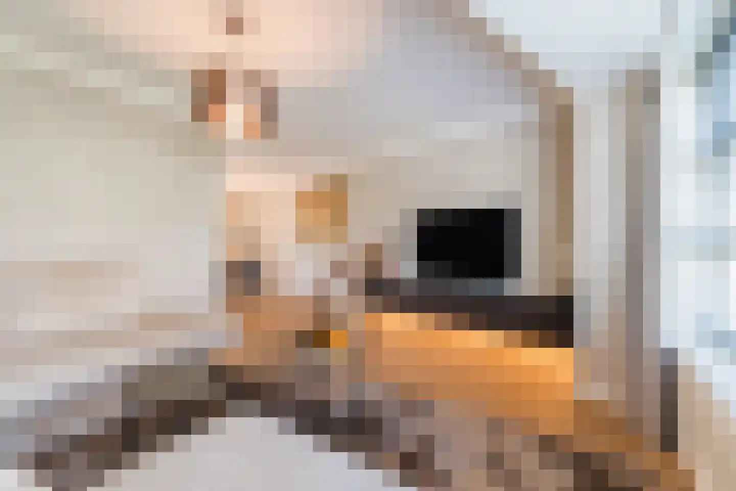 Het Geleer 21 Heeswijk-Dinther thumbnail 10
