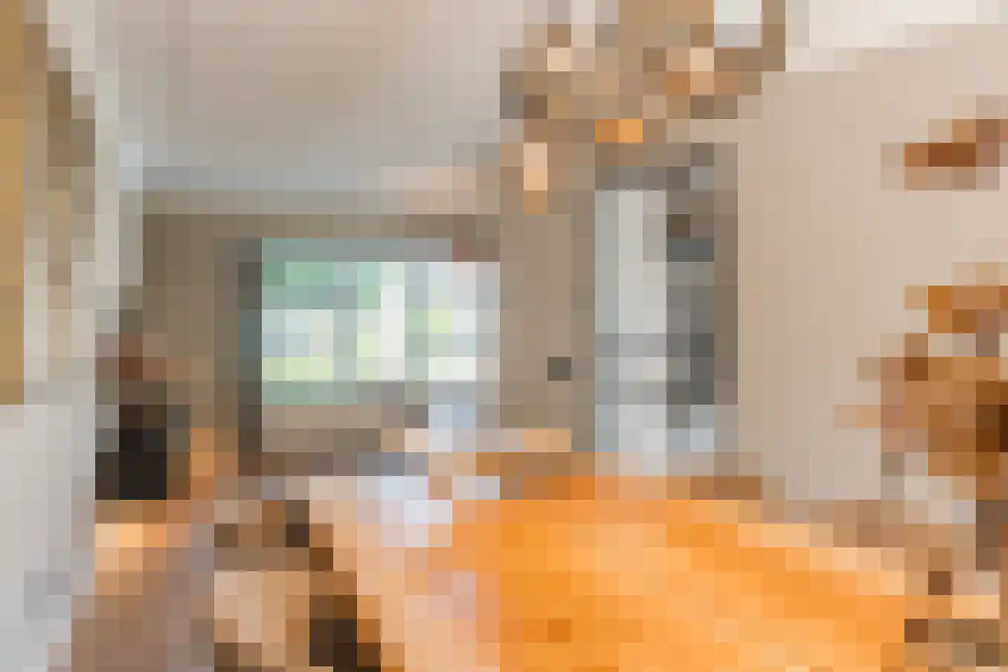 Het Geleer 21 Heeswijk-Dinther thumbnail 11