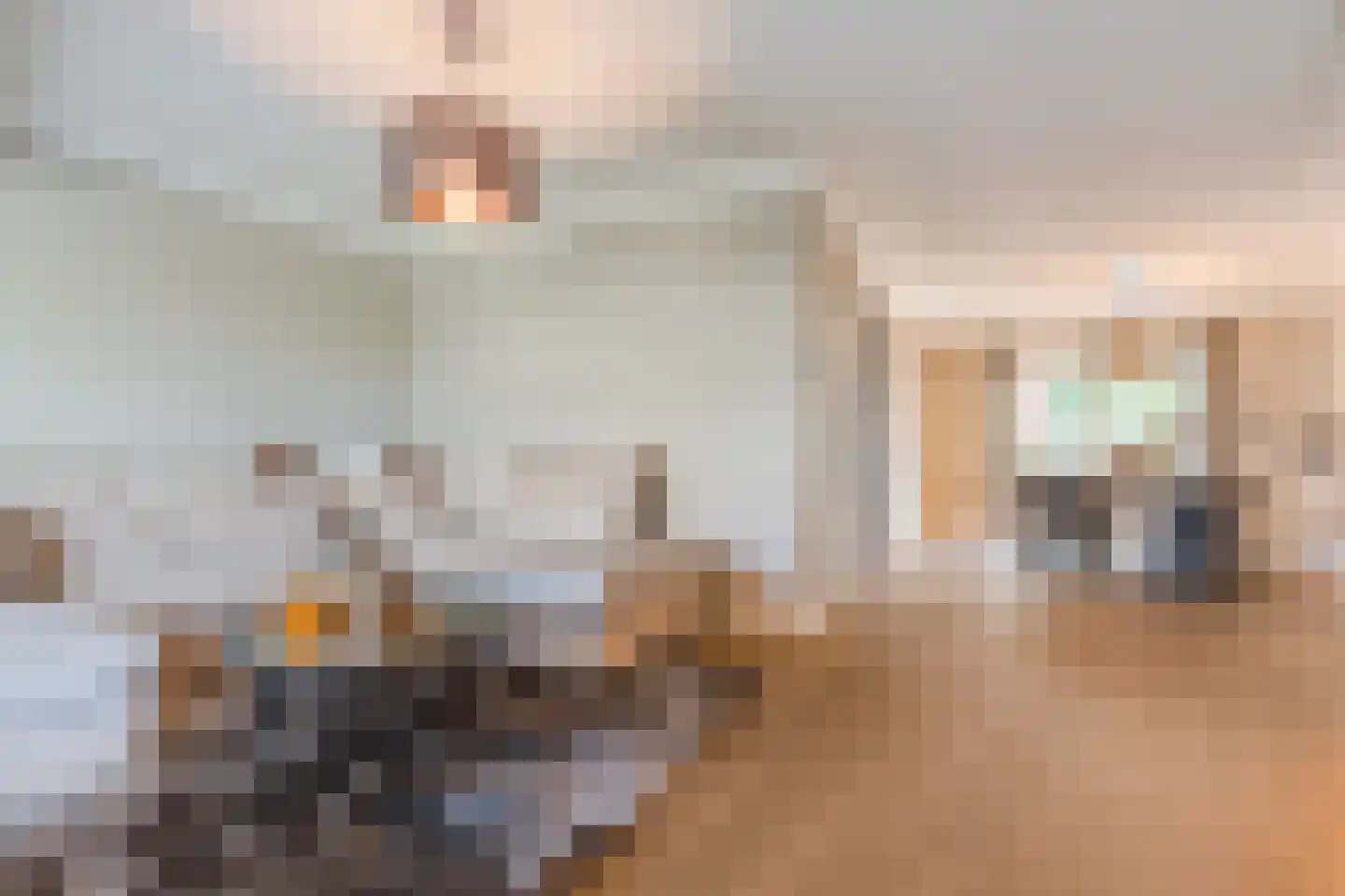 Het Geleer 21 Heeswijk-Dinther thumbnail 12