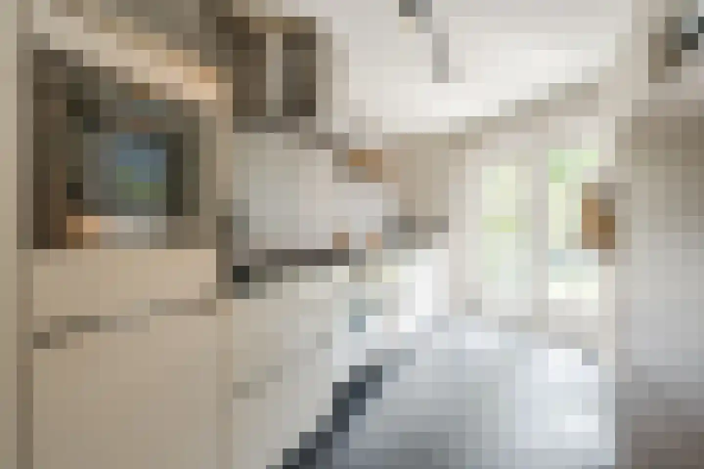 Het Geleer 21 Heeswijk-Dinther thumbnail 18