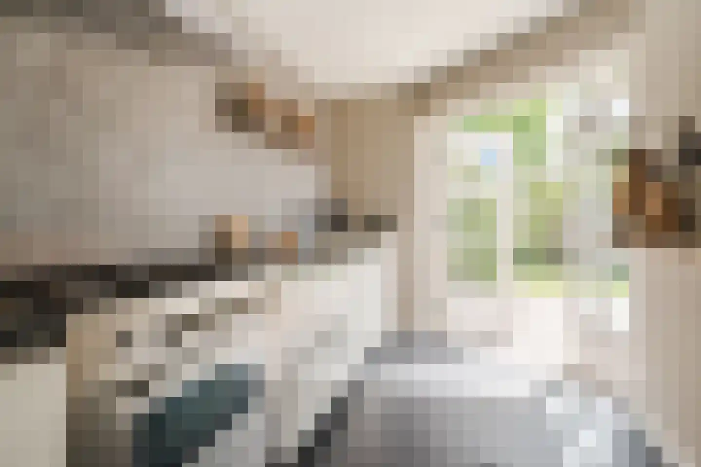 Het Geleer 21 Heeswijk-Dinther thumbnail 19