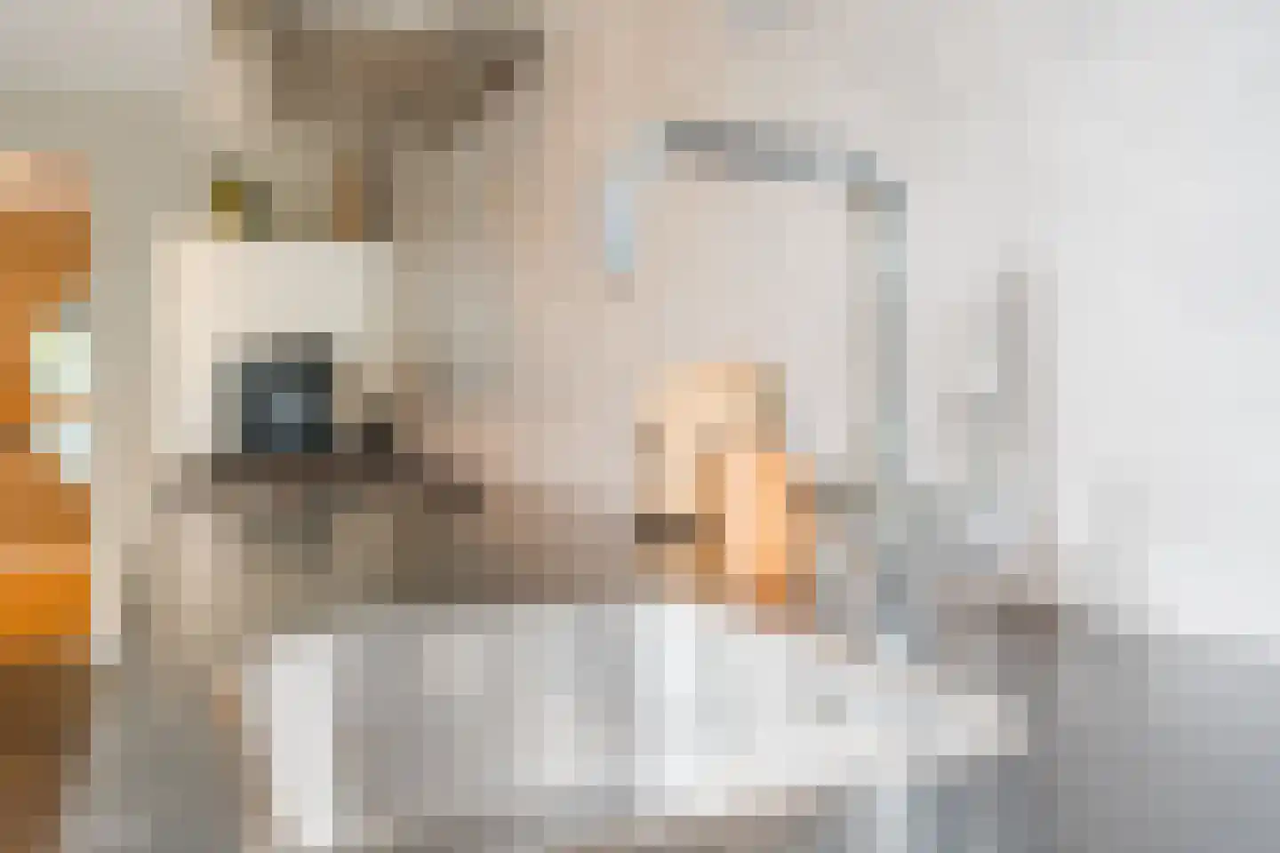 Het Geleer 21 Heeswijk-Dinther thumbnail 21