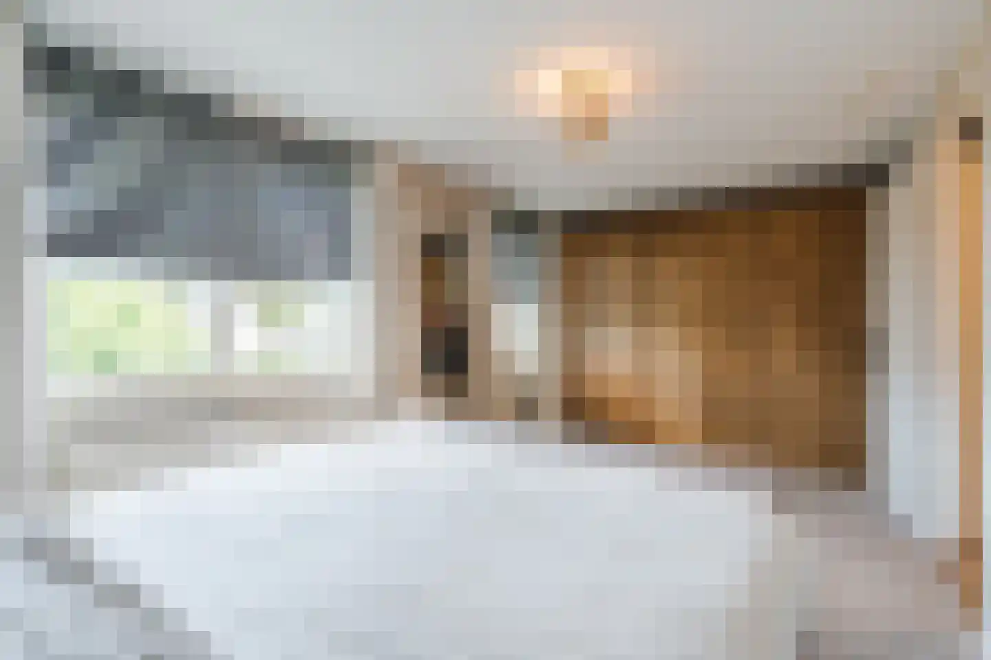 Het Geleer 21 Heeswijk-Dinther thumbnail 27