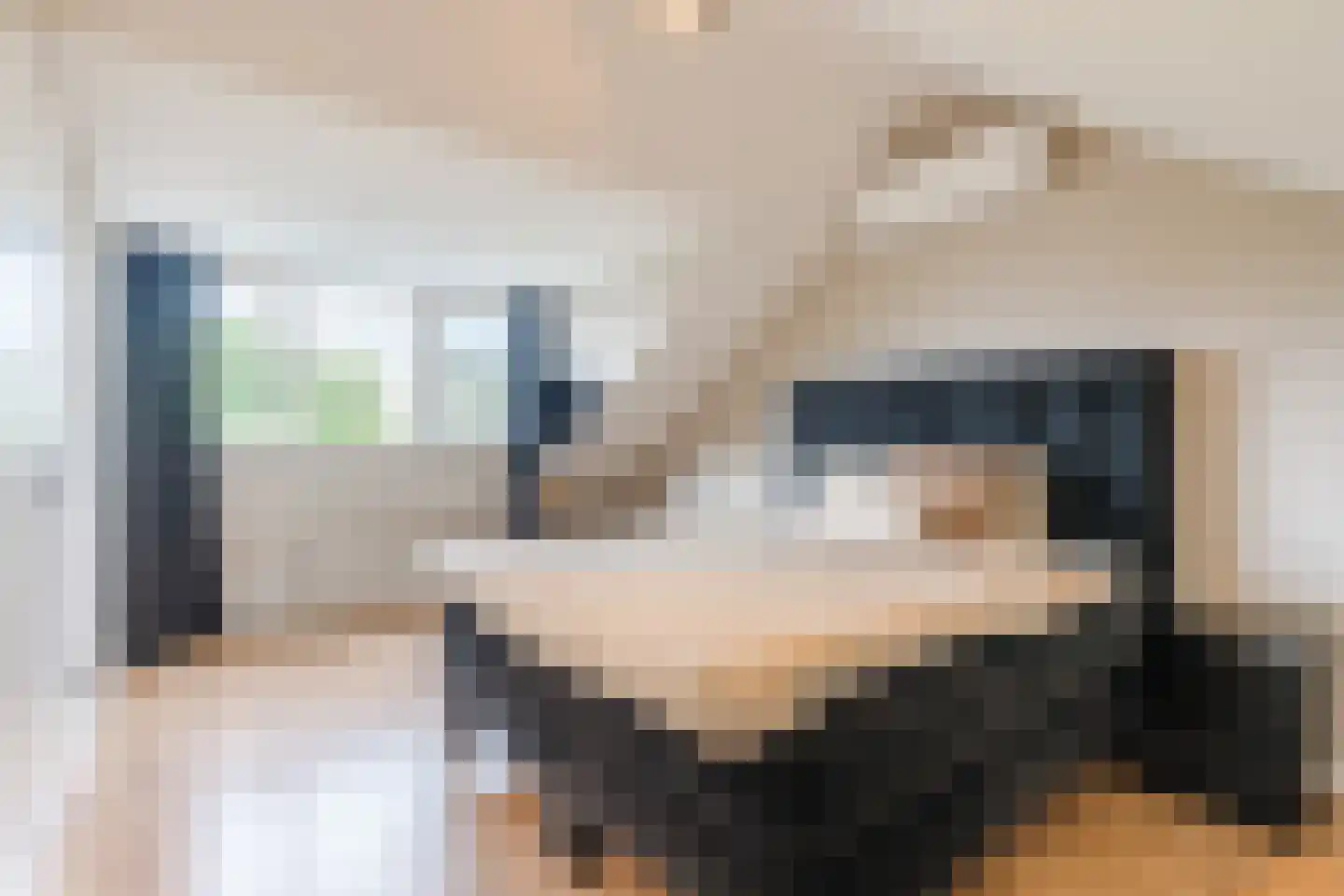 Het Geleer 21 Heeswijk-Dinther thumbnail 37