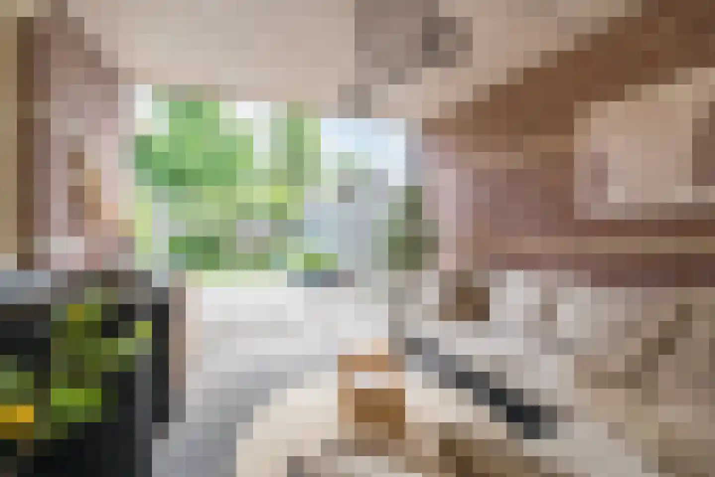 Het Geleer 21 Heeswijk-Dinther thumbnail 39