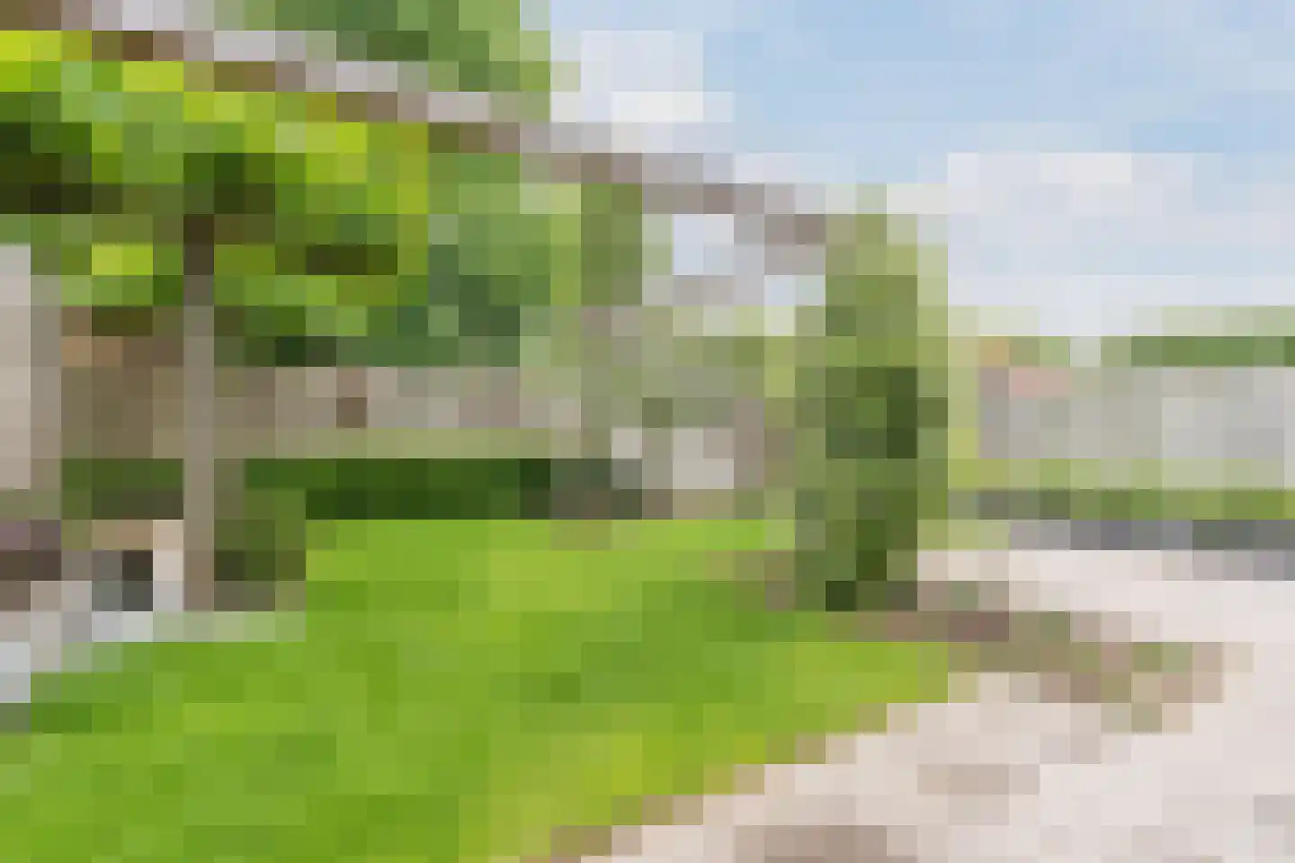 Het Geleer 21 Heeswijk-Dinther thumbnail 43