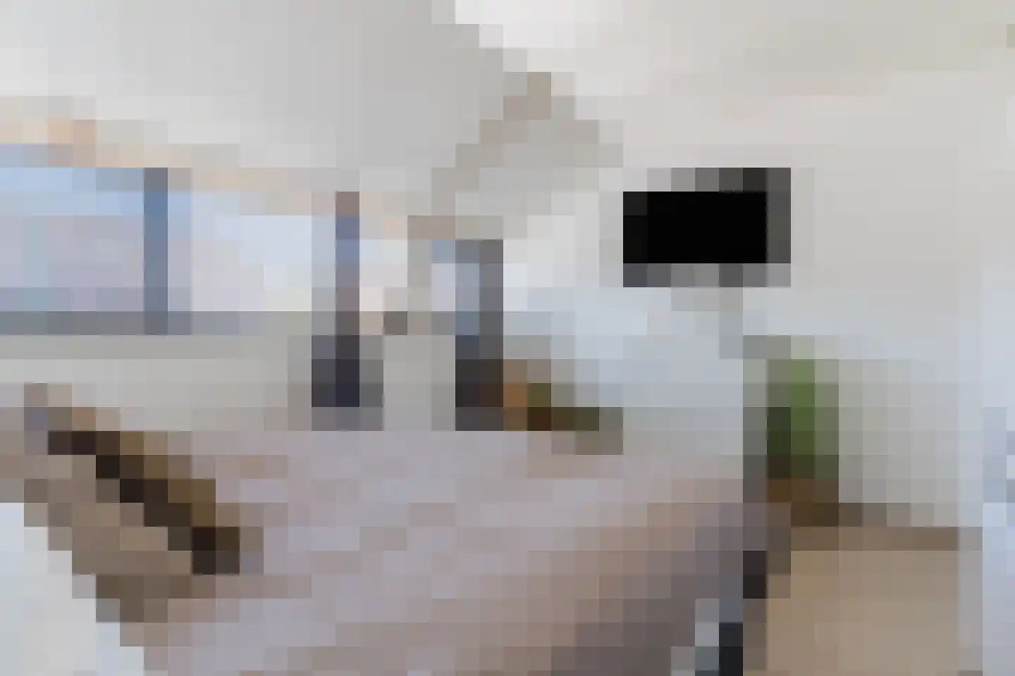 Het Geleer 28 Heeswijk-Dinther thumbnail 22