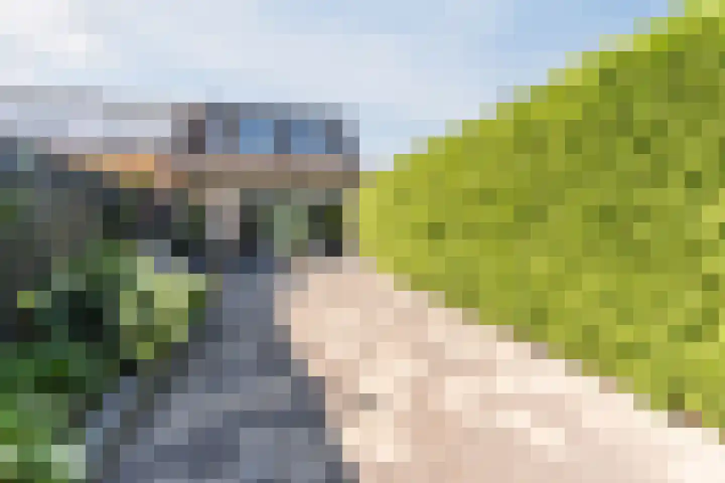 Het Geleer 28 Heeswijk-Dinther thumbnail 32
