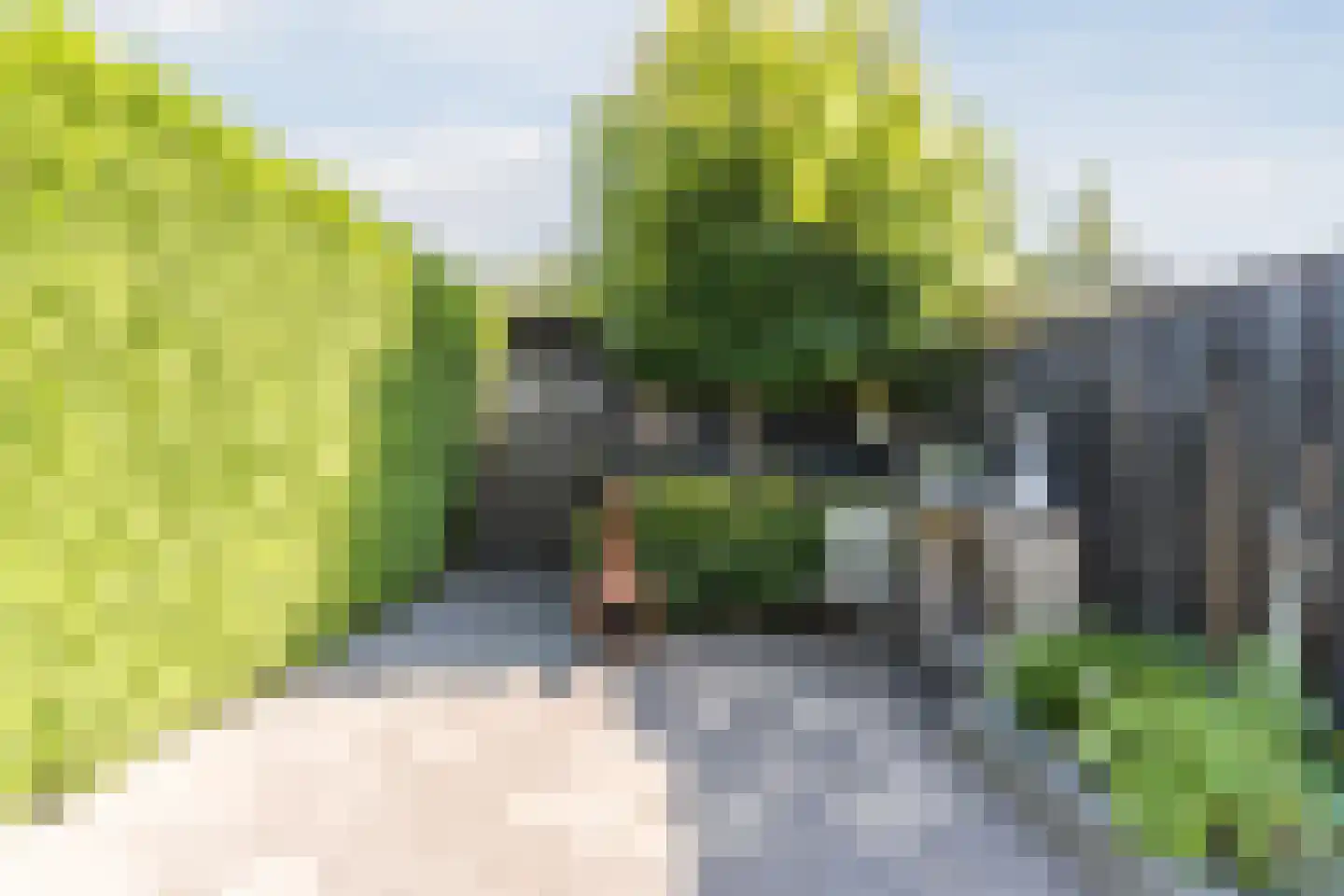 Het Geleer 28 Heeswijk-Dinther thumbnail 33
