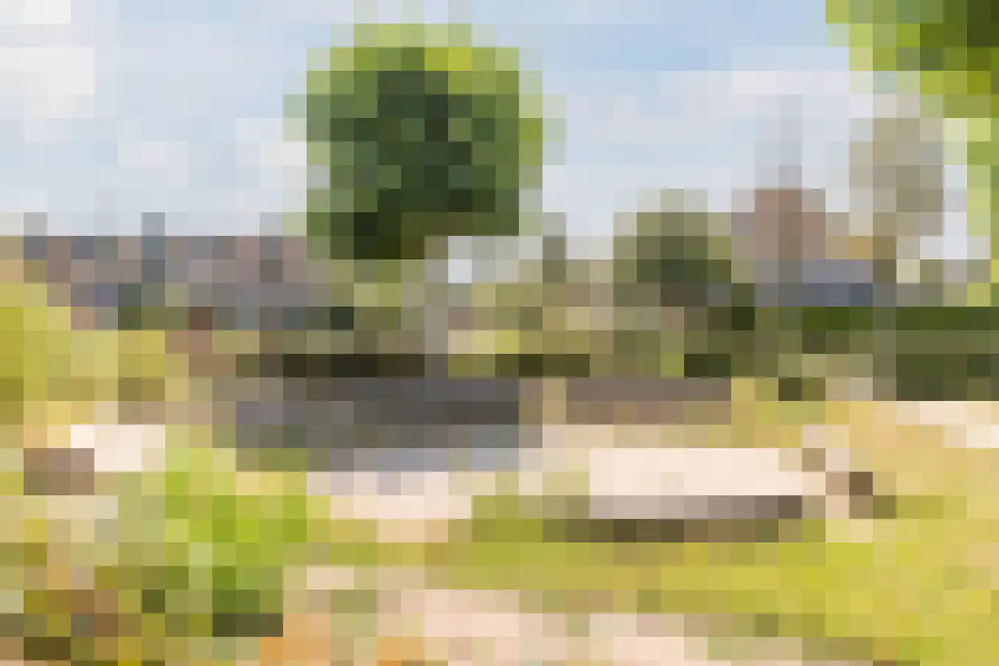 Het Geleer 28 Heeswijk-Dinther thumbnail 40