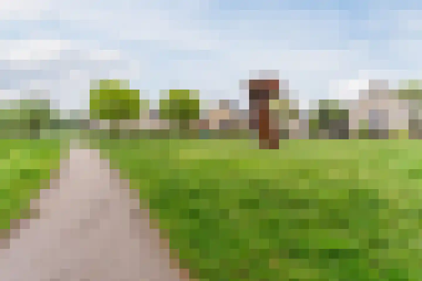 Het Geleer 28 Heeswijk-Dinther thumbnail 42
