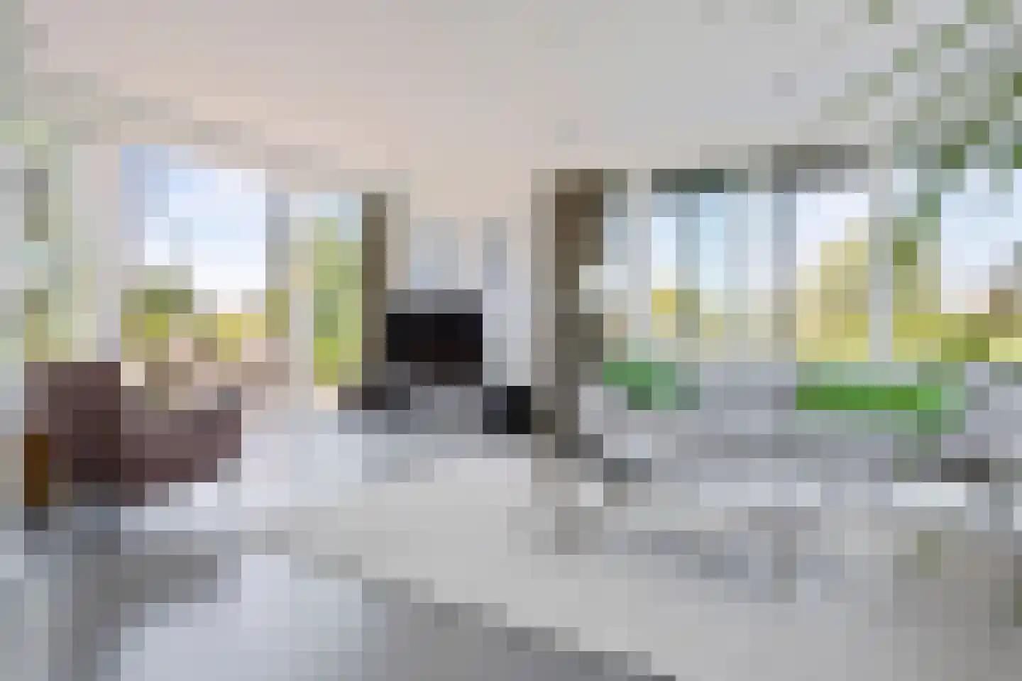 het Gemaal 25 Sneek thumbnail 16