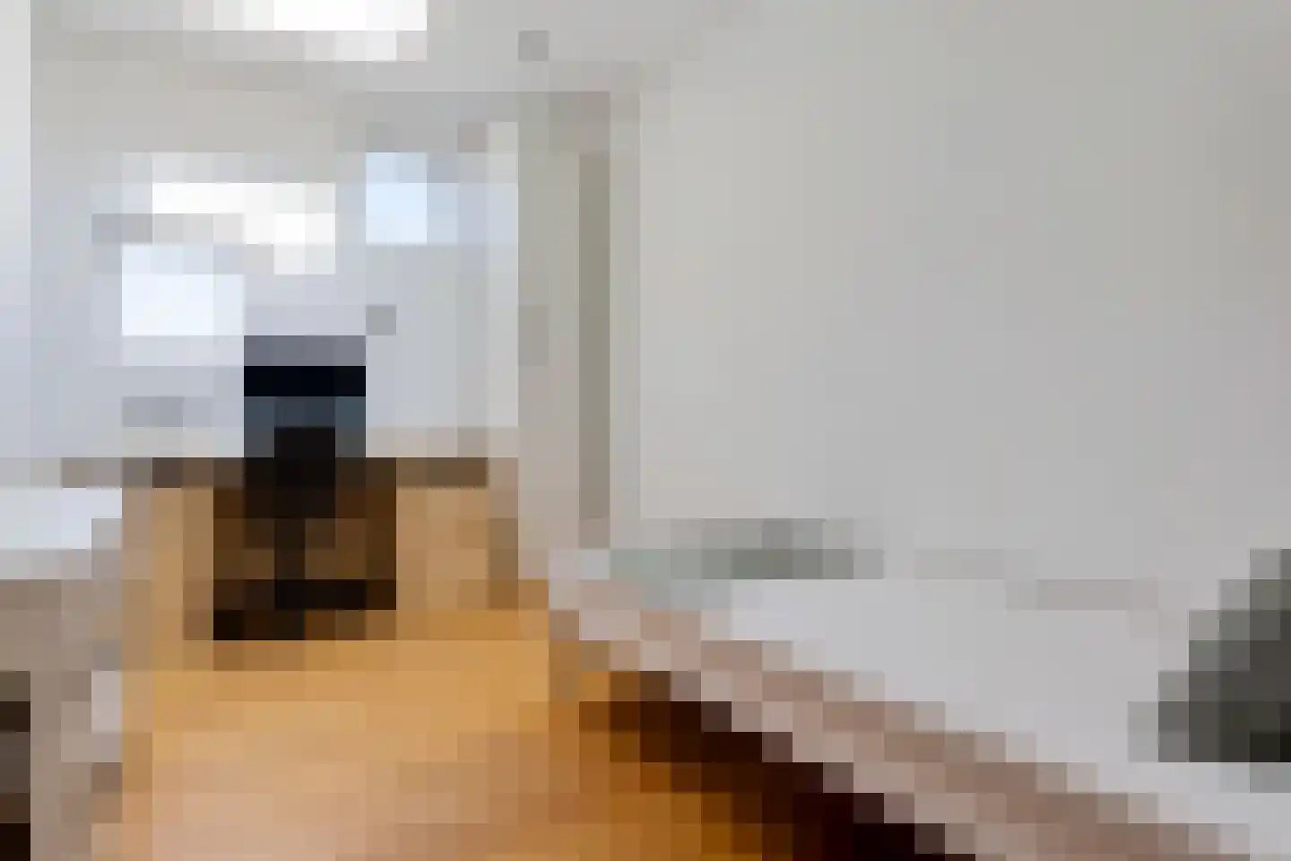 het Gemaal 25 Sneek thumbnail 35