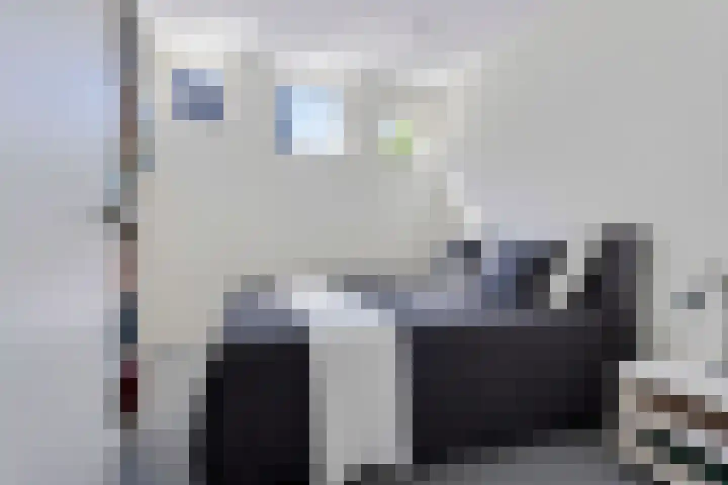 het Gemaal 25 Sneek thumbnail 49
