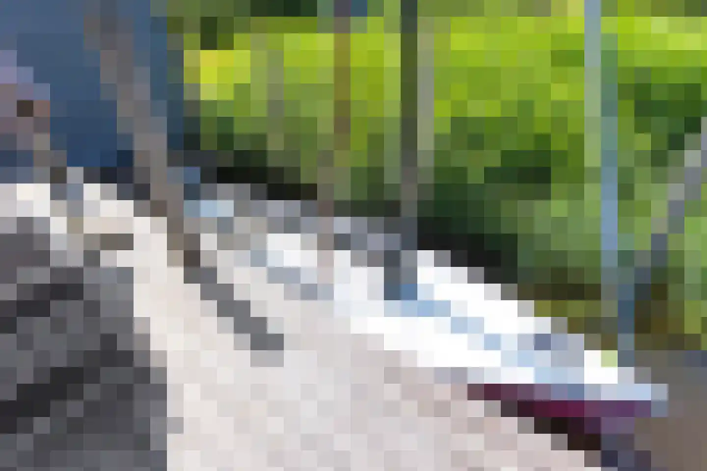 het Gemaal 25 Sneek thumbnail 63