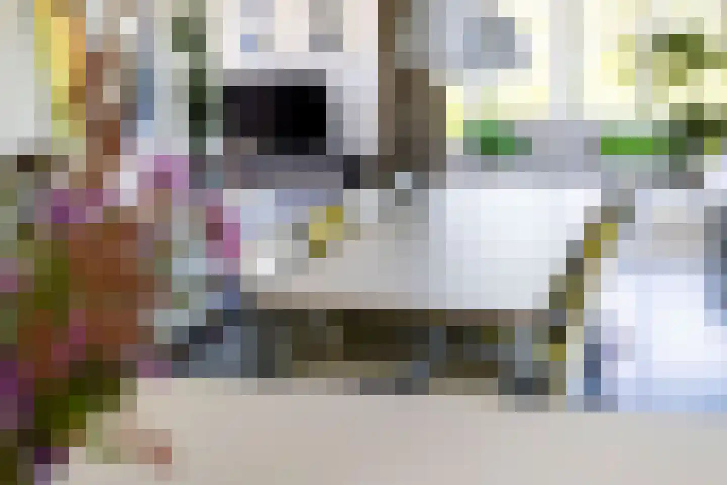 het Gemaal 25 Sneek thumbnail 7