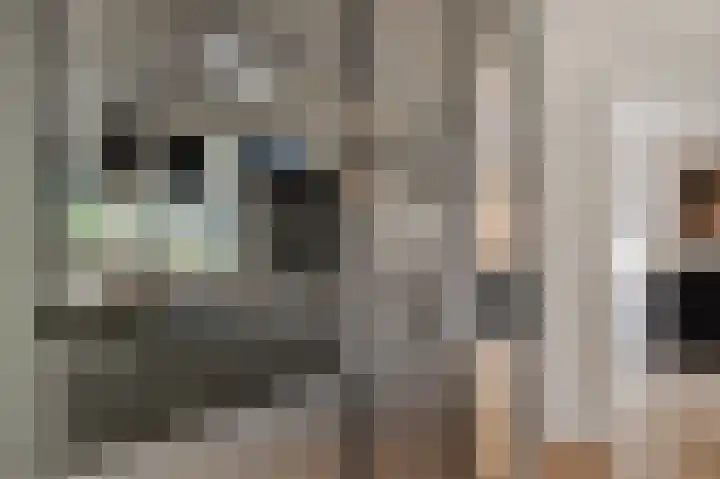 het Gemaal 29 Sneek thumbnail 10
