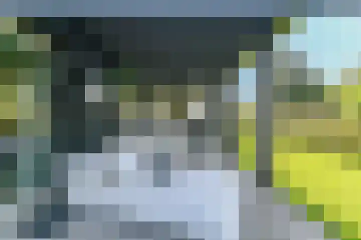 het Gemaal 29 Sneek thumbnail 13