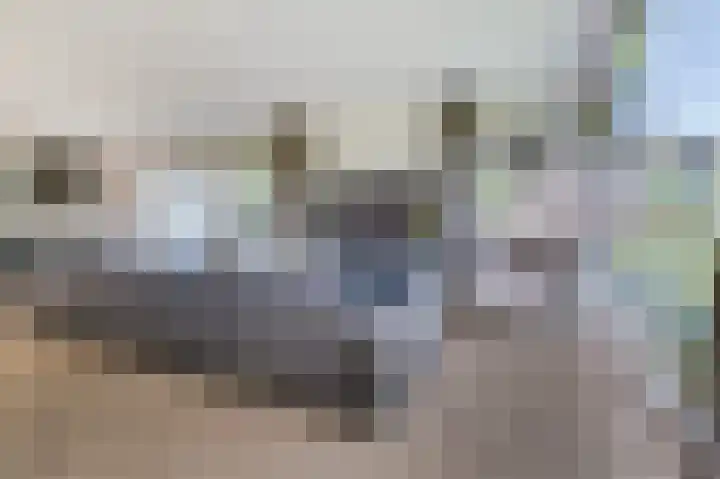 het Gemaal 29 Sneek thumbnail 19