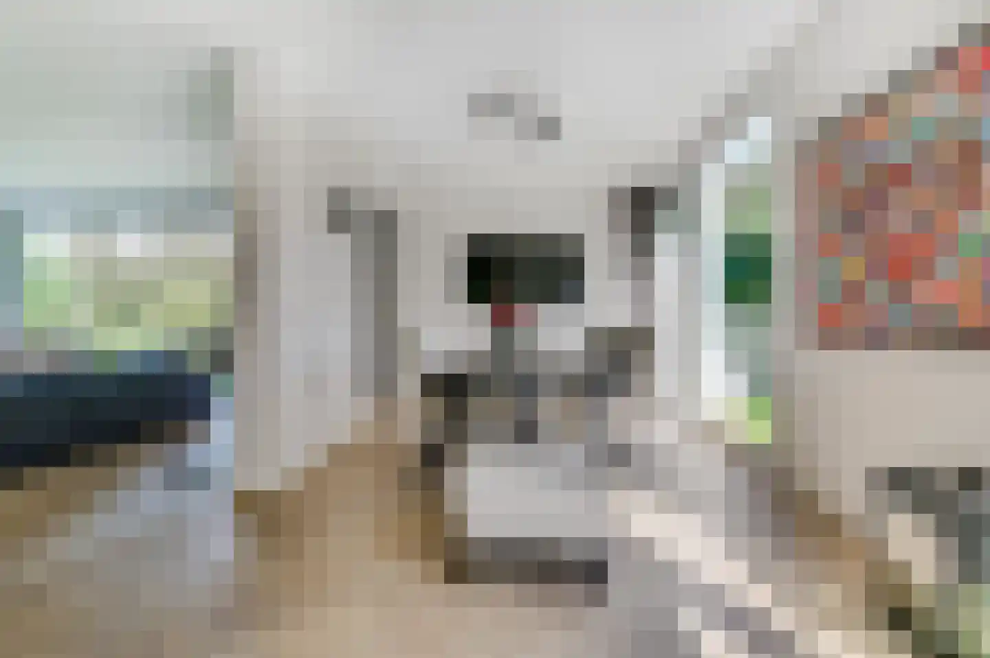 het Gemaal 29 Sneek thumbnail 21