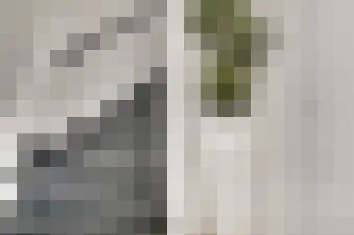 het Gemaal 29 Sneek thumbnail 29