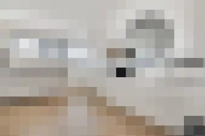 het Gemaal 29 Sneek thumbnail 31