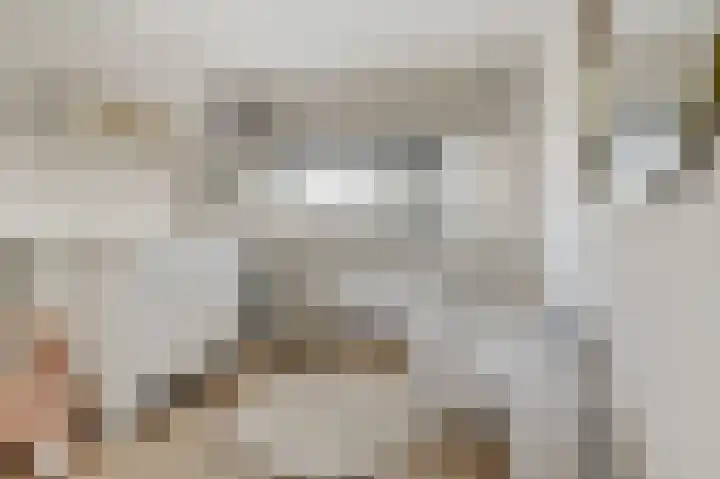 het Gemaal 29 Sneek thumbnail 37