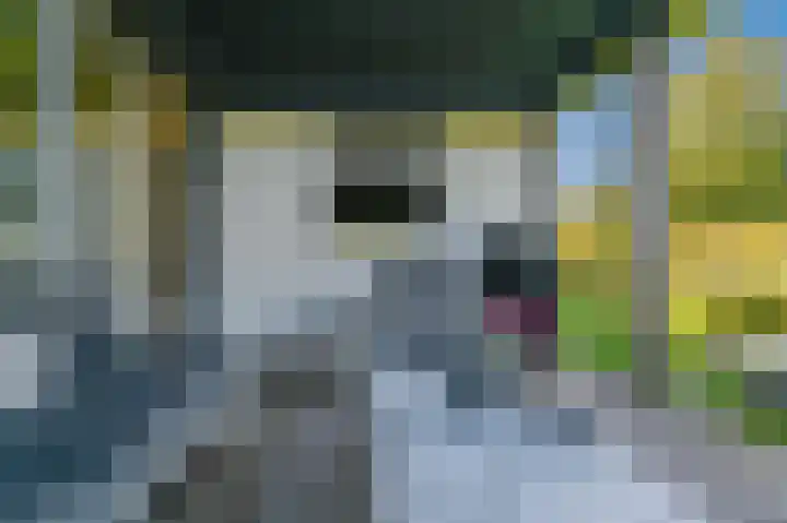 het Gemaal 29 Sneek thumbnail 48