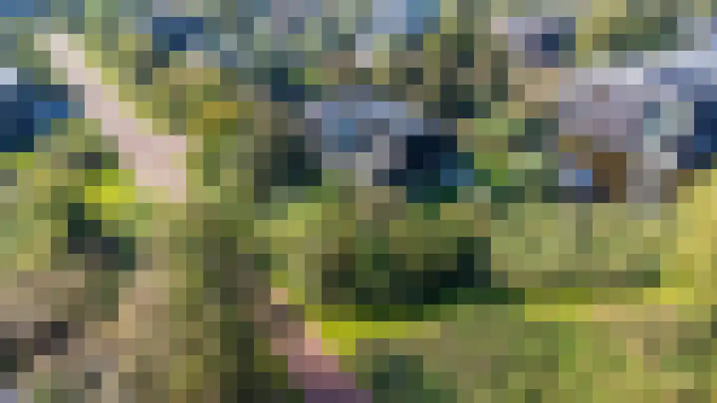 het Gemaal 29 Sneek thumbnail 53