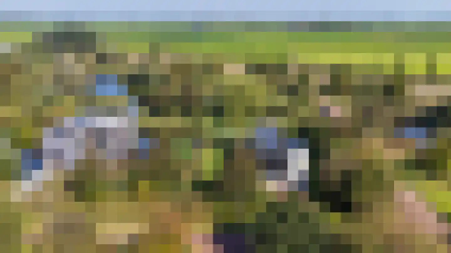 het Gemaal 29 Sneek thumbnail 54