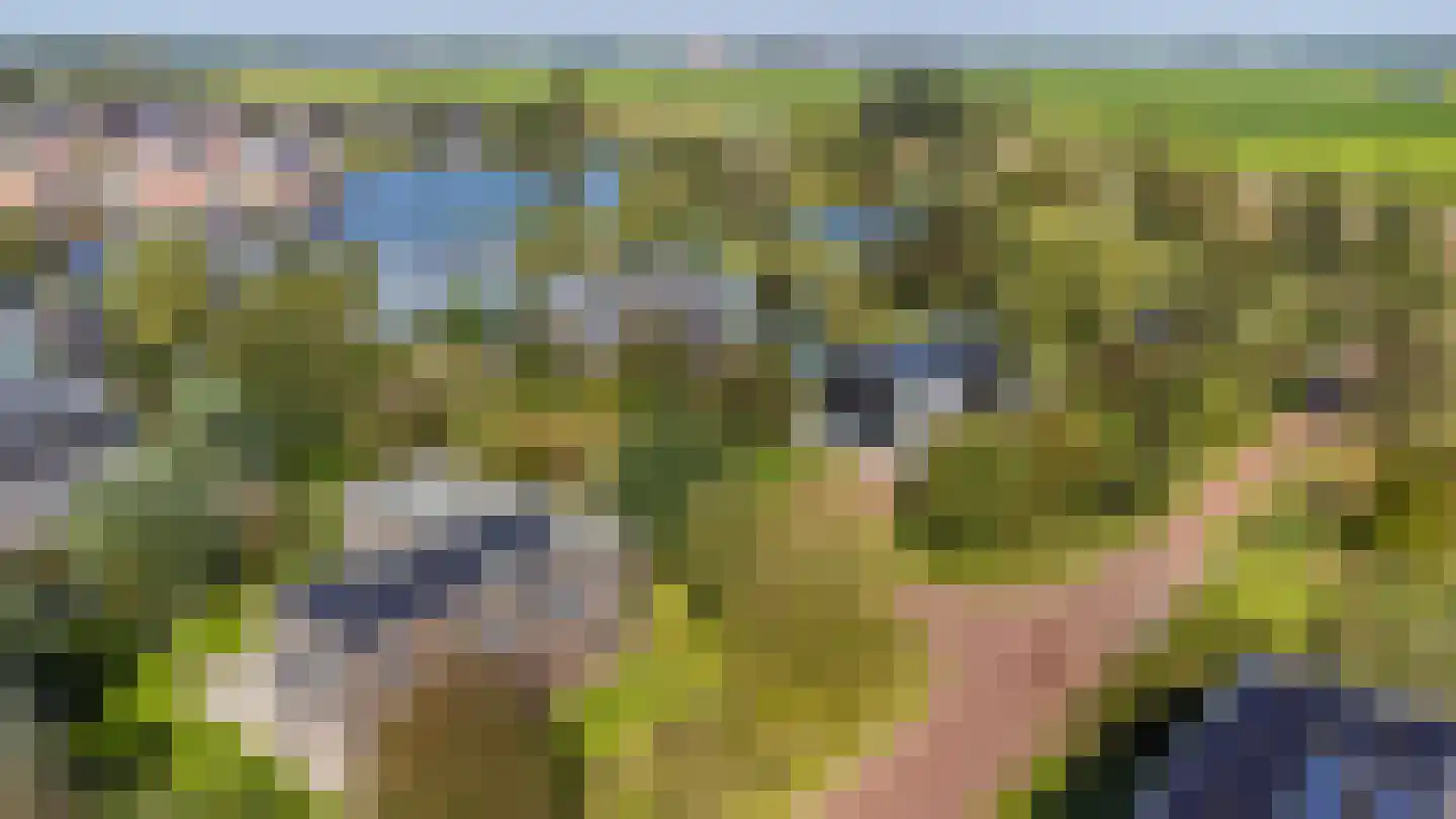 het Gemaal 29 Sneek thumbnail 55