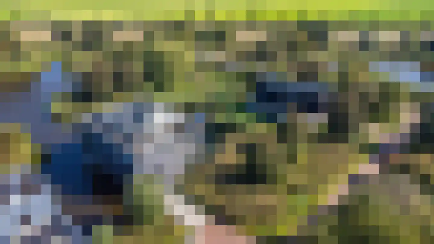 het Gemaal 29 Sneek thumbnail 56