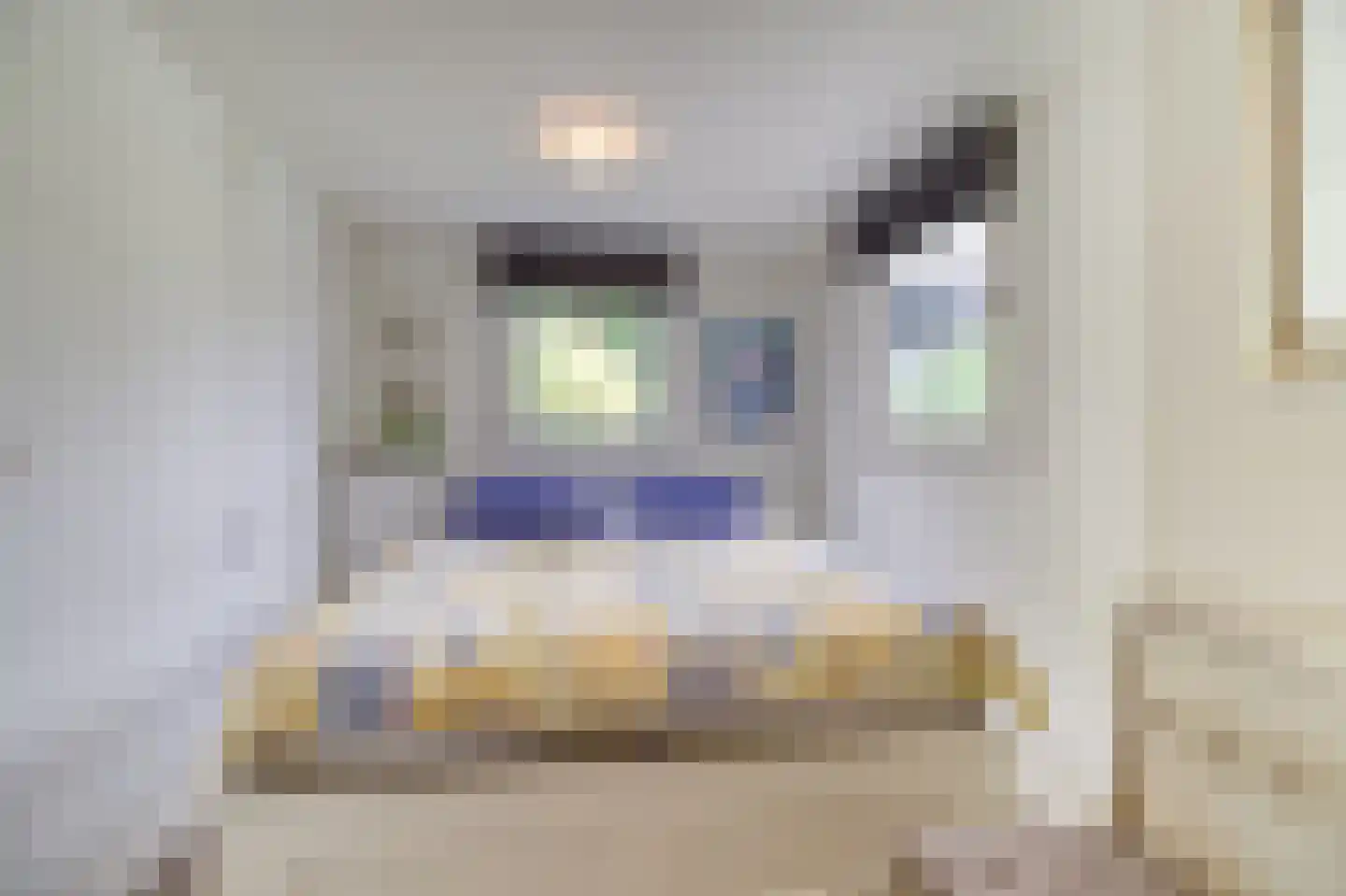 Het Gemaal 5 Nieuwvliet thumbnail 14