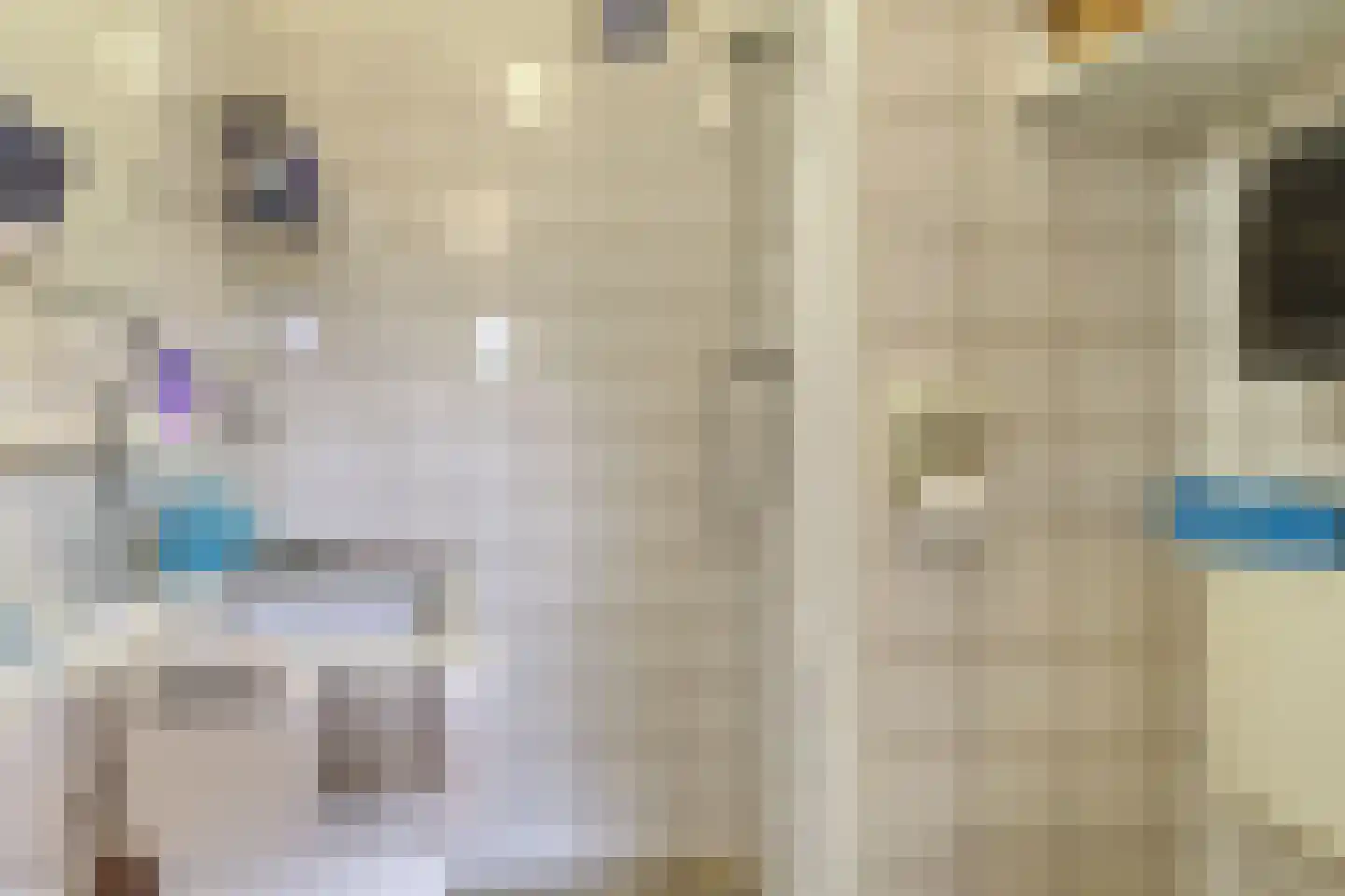 Het Gemaal 5 Nieuwvliet thumbnail 19
