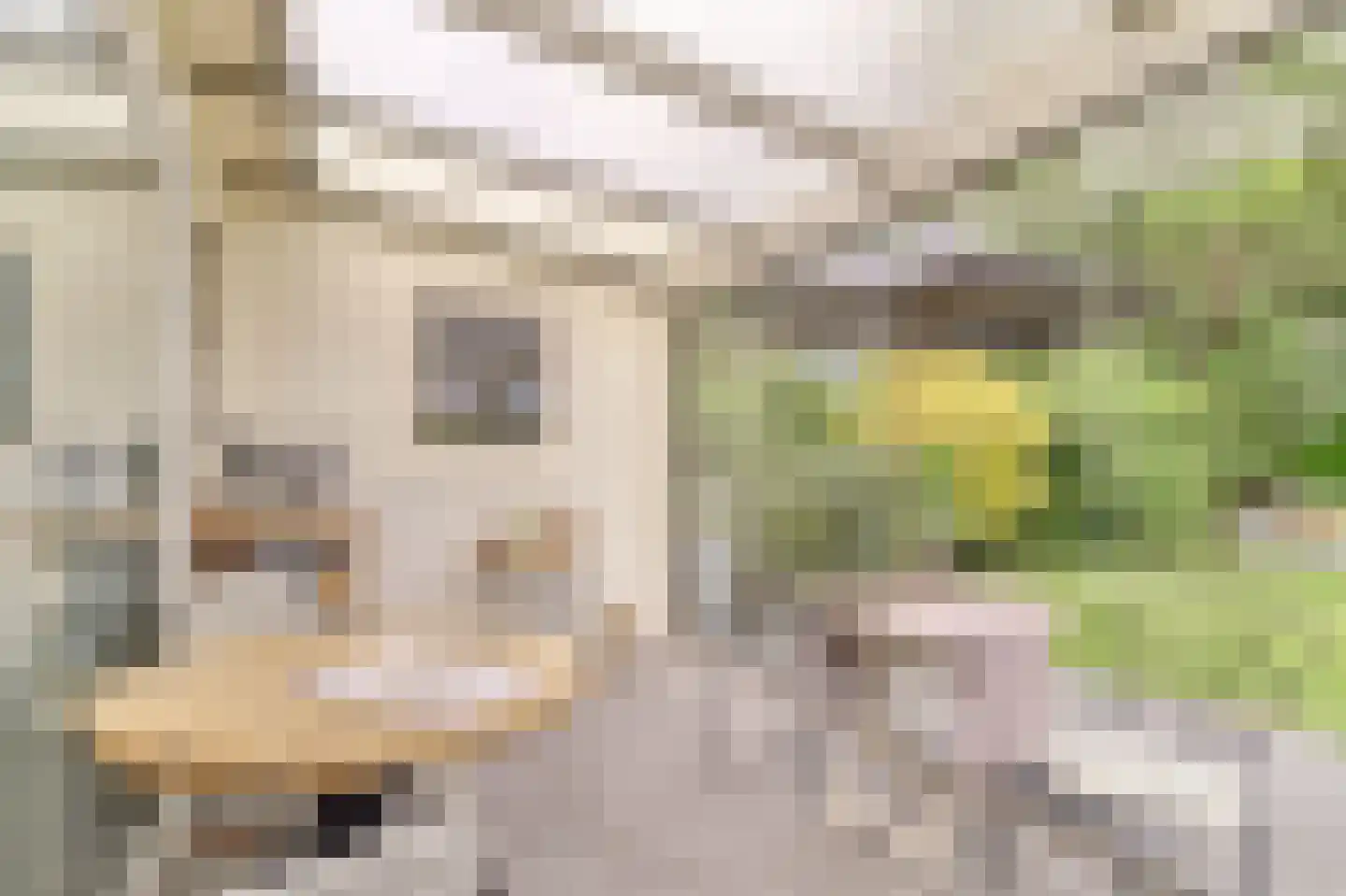Het Gemaal 5 Nieuwvliet thumbnail 19