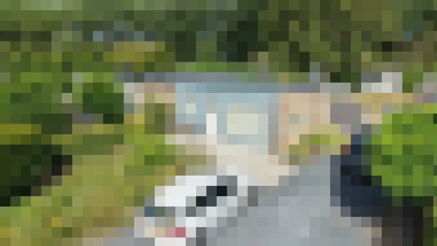 Het Gemaal 5 Nieuwvliet foto 2