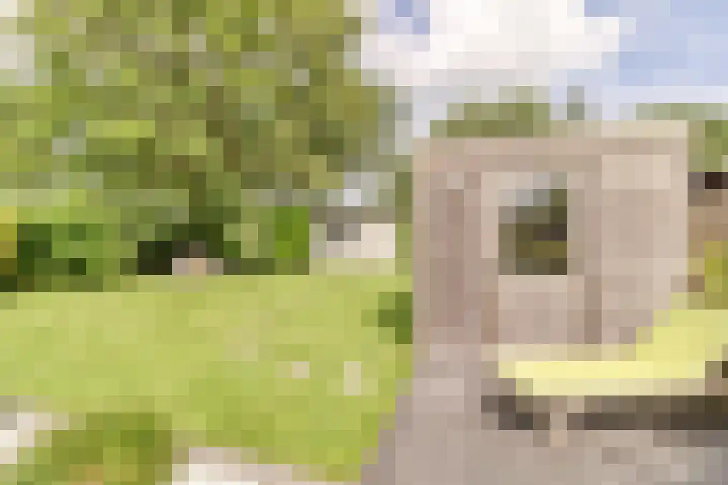Het Gemaal 5 Nieuwvliet thumbnail 23