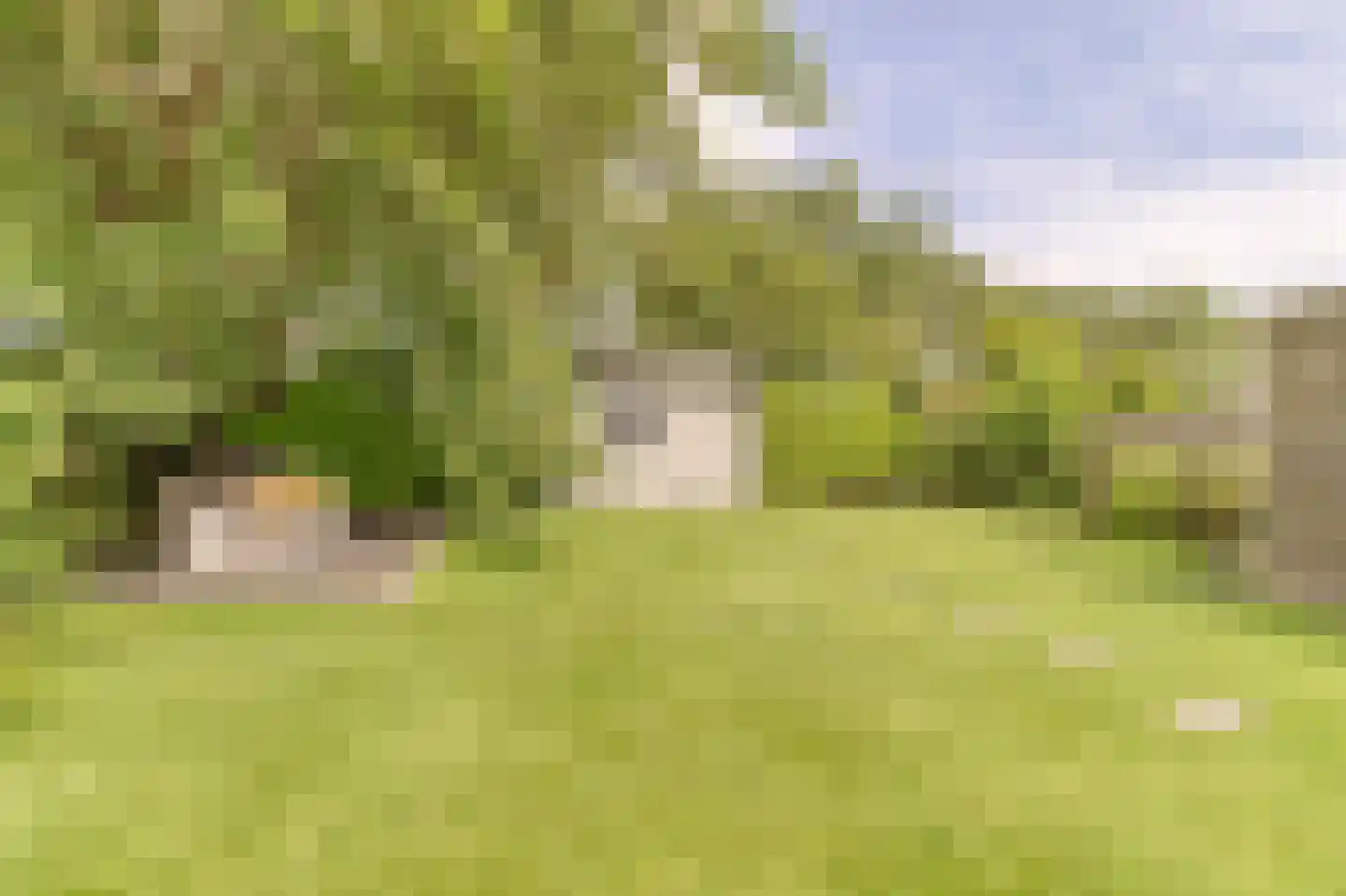 Het Gemaal 5 Nieuwvliet thumbnail 25