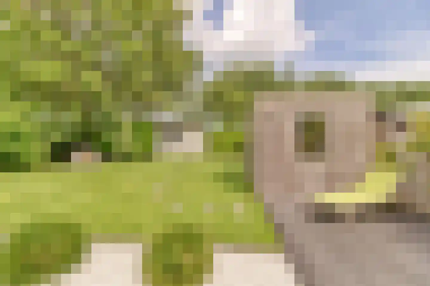 Het Gemaal 5 Nieuwvliet thumbnail 26