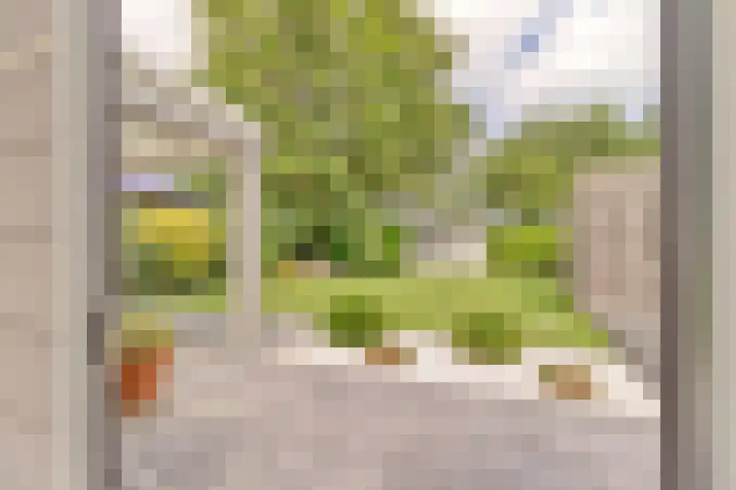 Het Gemaal 5 Nieuwvliet thumbnail 29
