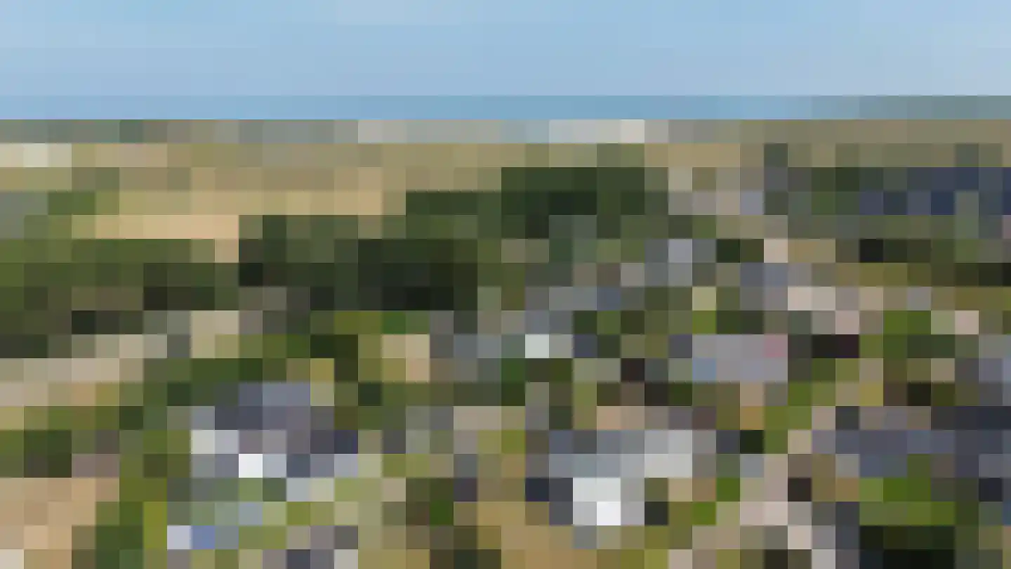 Het Gemaal 5 Nieuwvliet foto 3