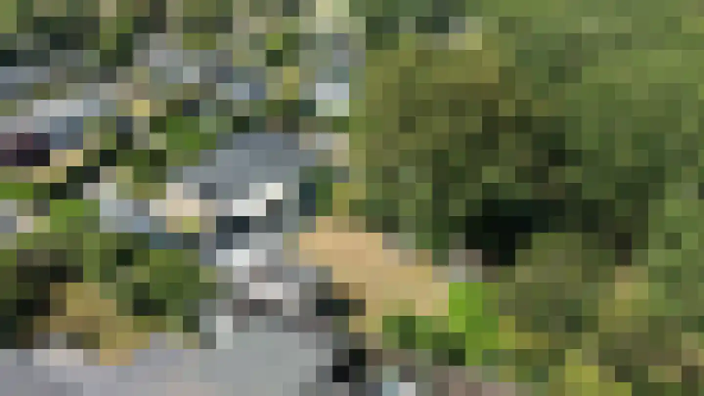 Het Gemaal 5 Nieuwvliet thumbnail 30
