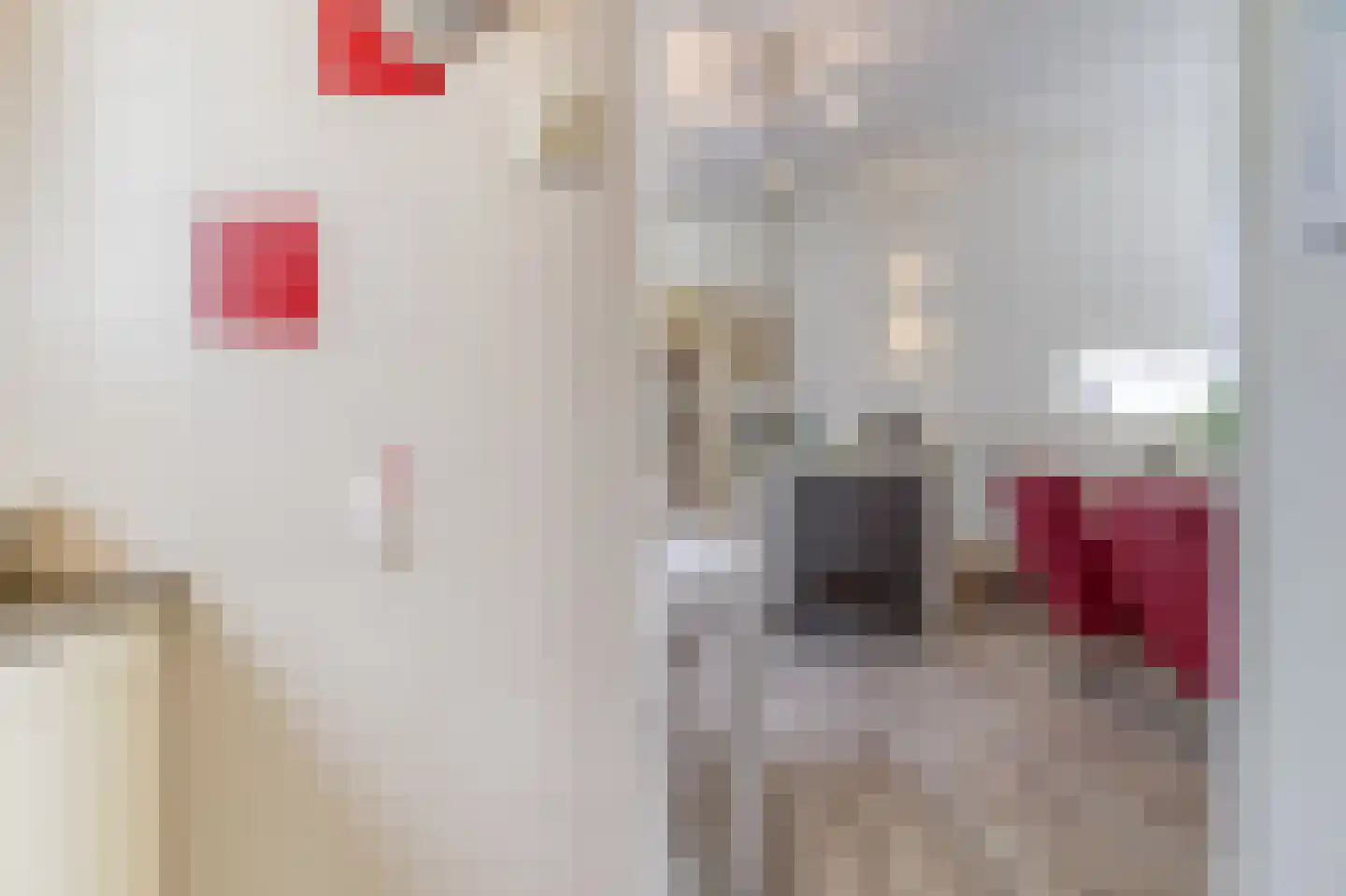 Het Gemaal 5 Nieuwvliet thumbnail 9