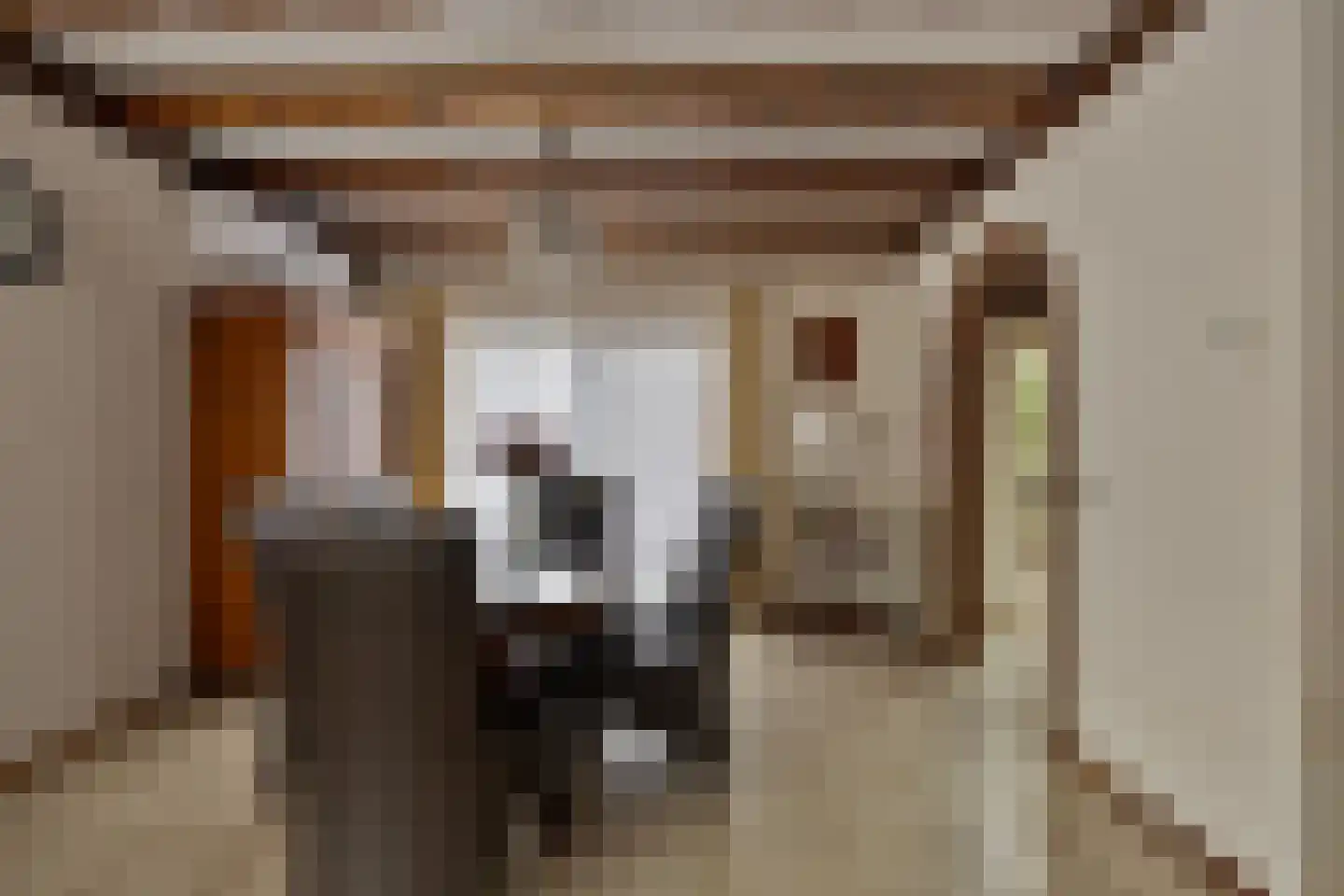 het Gement 43 Alphen thumbnail 12
